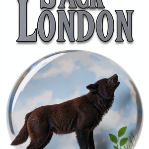 Maplewood Books Classic Short Stories Kindle English Enabled-0
