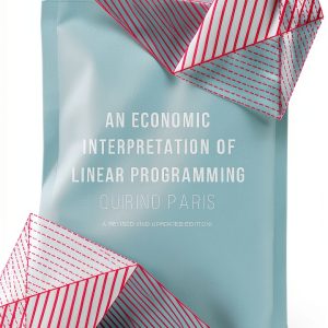 Palgrave Macmillan Linear Programming Book Econometrics-0